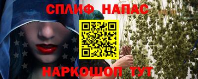 дмт Ставрополь